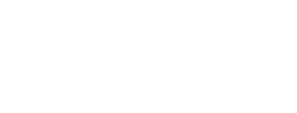 Castimize logo white